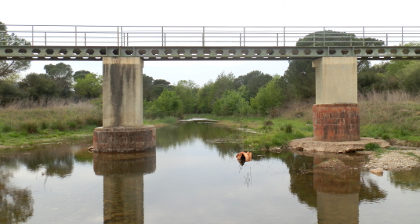 La Bisbal bridge over frog chorus river