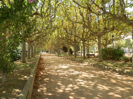 Sant Feliu de Guixols paseo under trees
