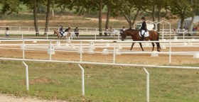 Bascara horse track and riding centre