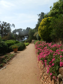 Cap Roig avenue of flowers