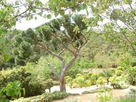 Cap Roig gardens