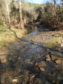 Cruilles stream by the mill