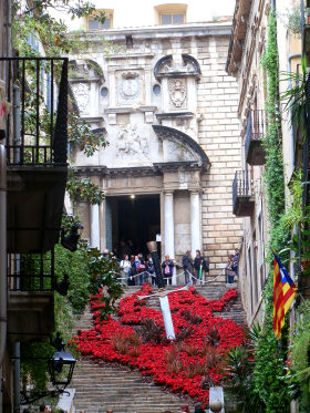 Girona Temps de Flors - Game of thrones sword