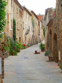 Monells street with dog