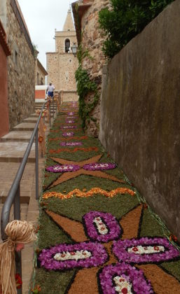 Mont-ras catifes de flors on the steps up to the church