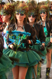 Palamos carnival 2015 peacock