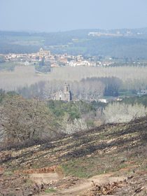 View near Riuras across the burnt and cleared woods