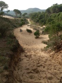 Dune path between Pals and Begur