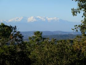 View out the Pyrenees from the Gavarres Costa Brava