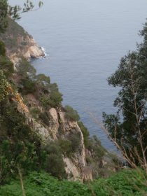 Coast line between Llafranc and Tamariu