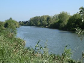 River Ter close to Torroella de Montgri